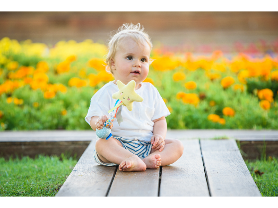 12645TAF-6.png